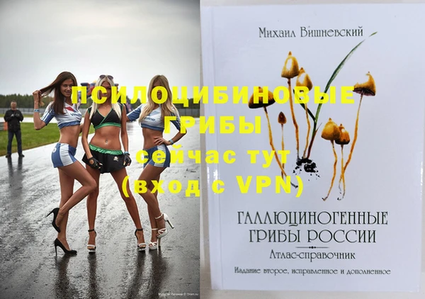 прущая мука Абаза