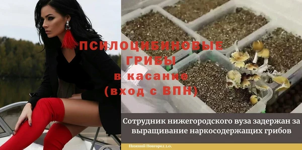 прущая мука Абаза