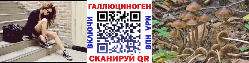 купить  сайты  Чегем  MEGA ссылка  Галлюциногенные грибы прущие грибы 